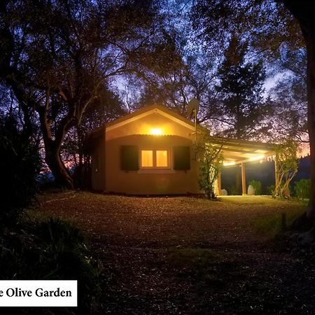 House In The Olive Garden Apartment Agios Ioannis  Bagian luar foto