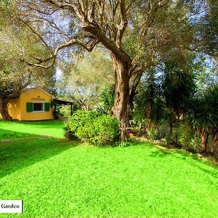 House In The Olive Garden Apartment Agios Ioannis  Bagian luar foto
