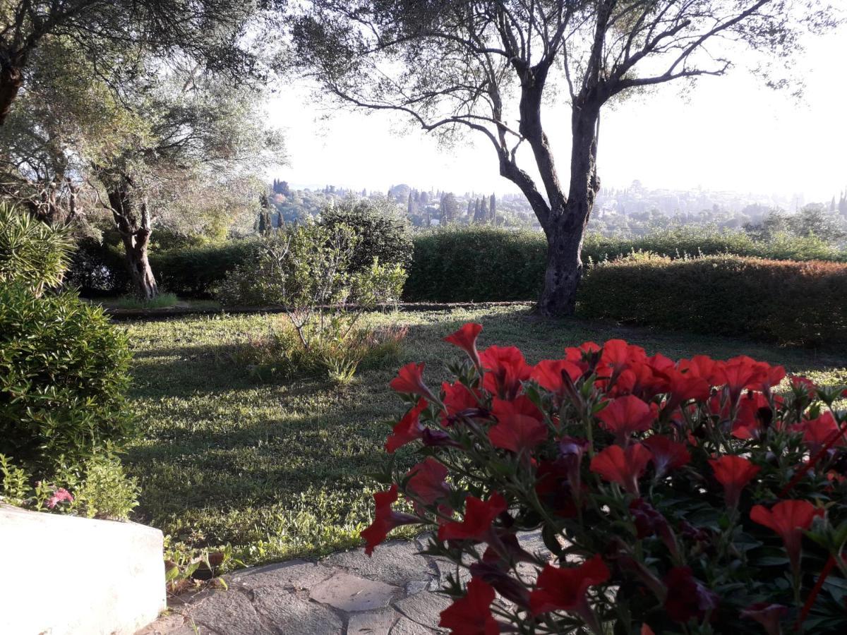 House In The Olive Garden Apartment Agios Ioannis  Bagian luar foto