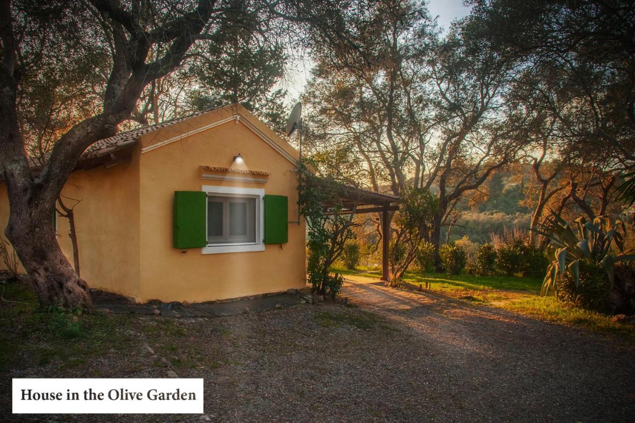 House In The Olive Garden Apartment Agios Ioannis  Bagian luar foto