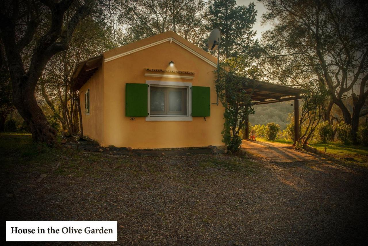 House In The Olive Garden Apartment Agios Ioannis  Bagian luar foto