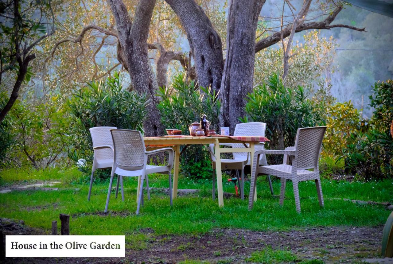House In The Olive Garden Apartment Agios Ioannis  Bagian luar foto
