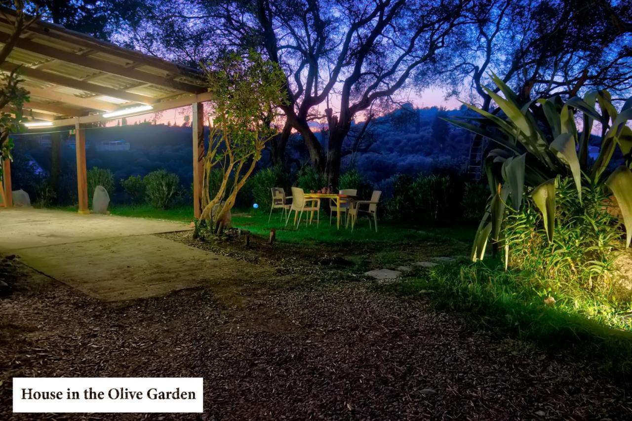 House In The Olive Garden Apartment Agios Ioannis  Bagian luar foto