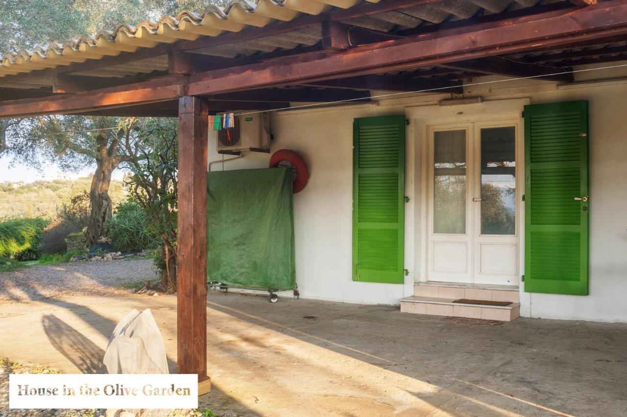 House In The Olive Garden Apartment Agios Ioannis  Bagian luar foto