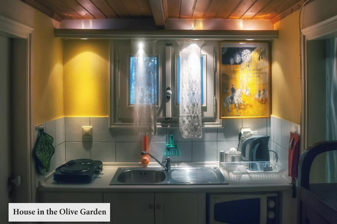 House In The Olive Garden Apartment Agios Ioannis  Bagian luar foto