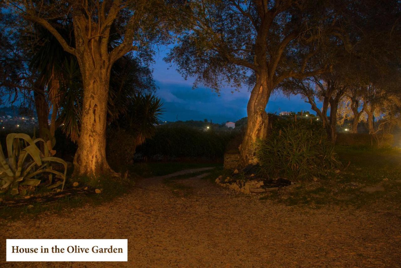 House In The Olive Garden Apartment Agios Ioannis  Bagian luar foto