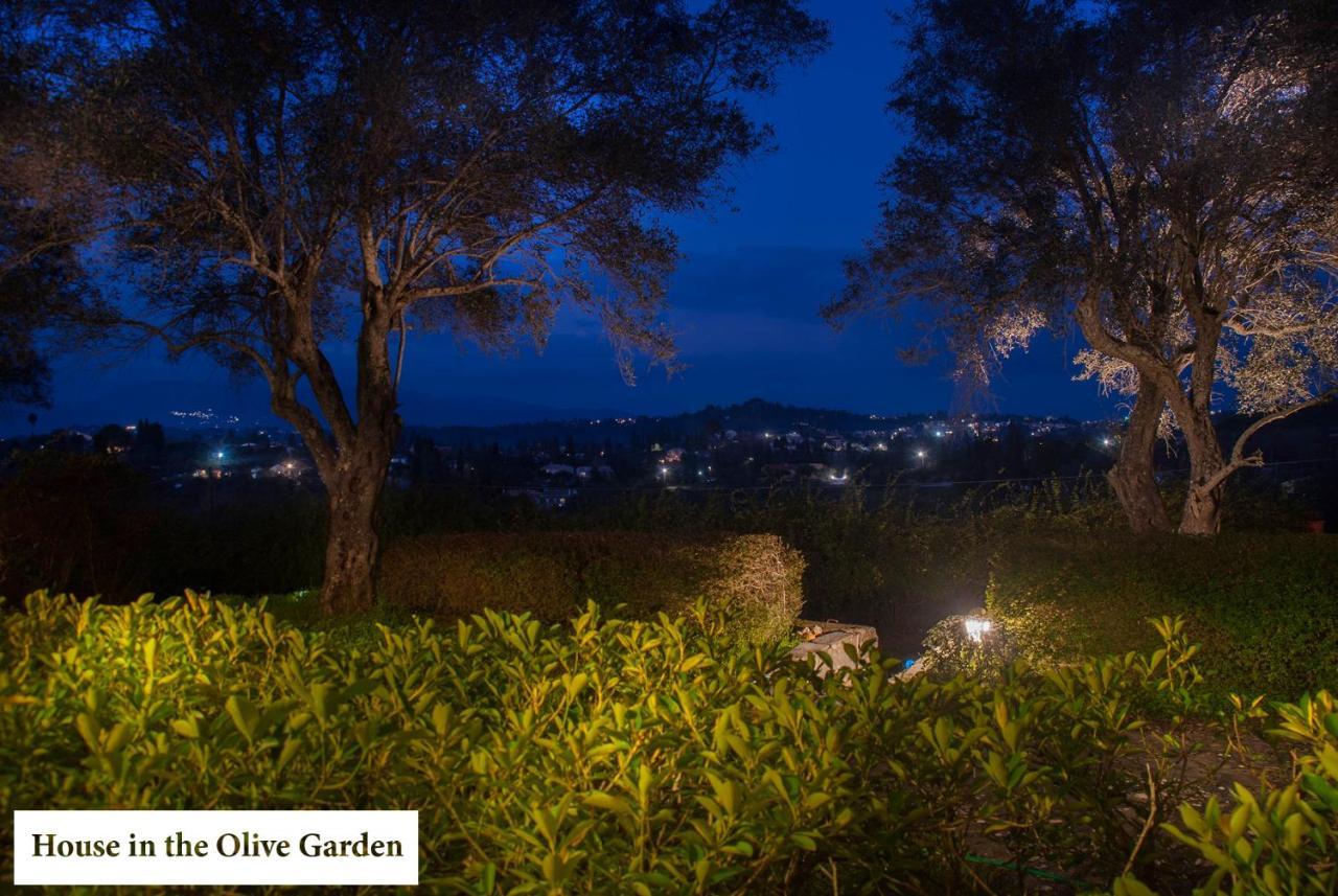 House In The Olive Garden Apartment Agios Ioannis  Bagian luar foto