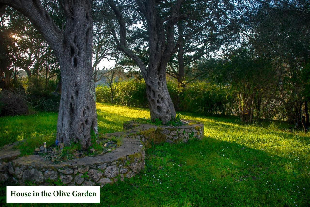 House In The Olive Garden Apartment Agios Ioannis  Bagian luar foto