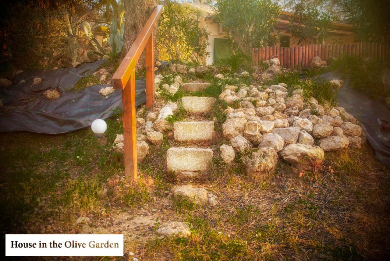 House In The Olive Garden Apartment Agios Ioannis  Bagian luar foto