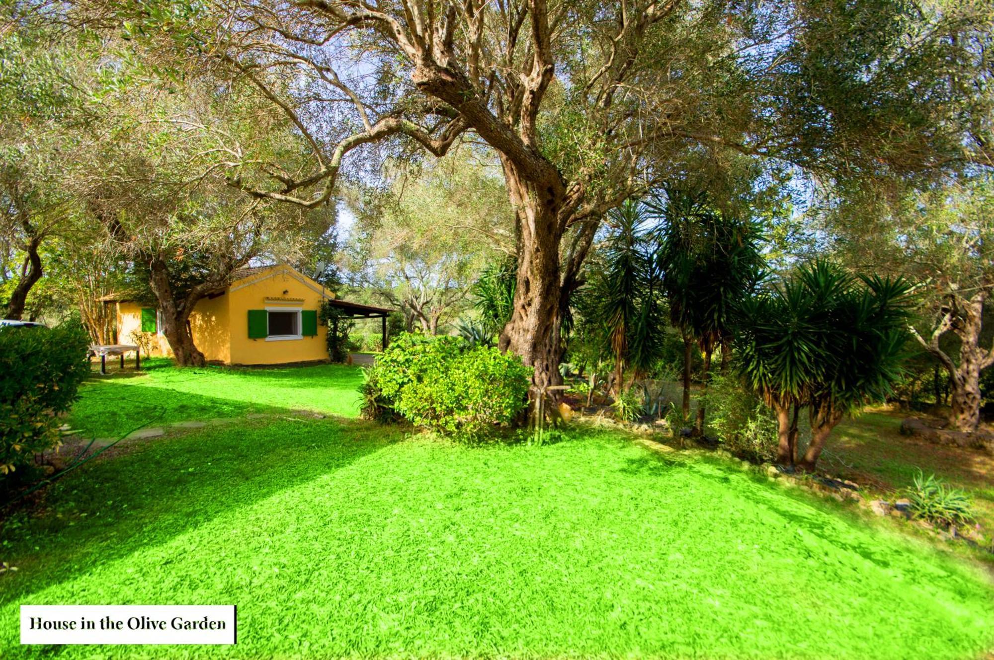 House In The Olive Garden Apartment Agios Ioannis  Bagian luar foto