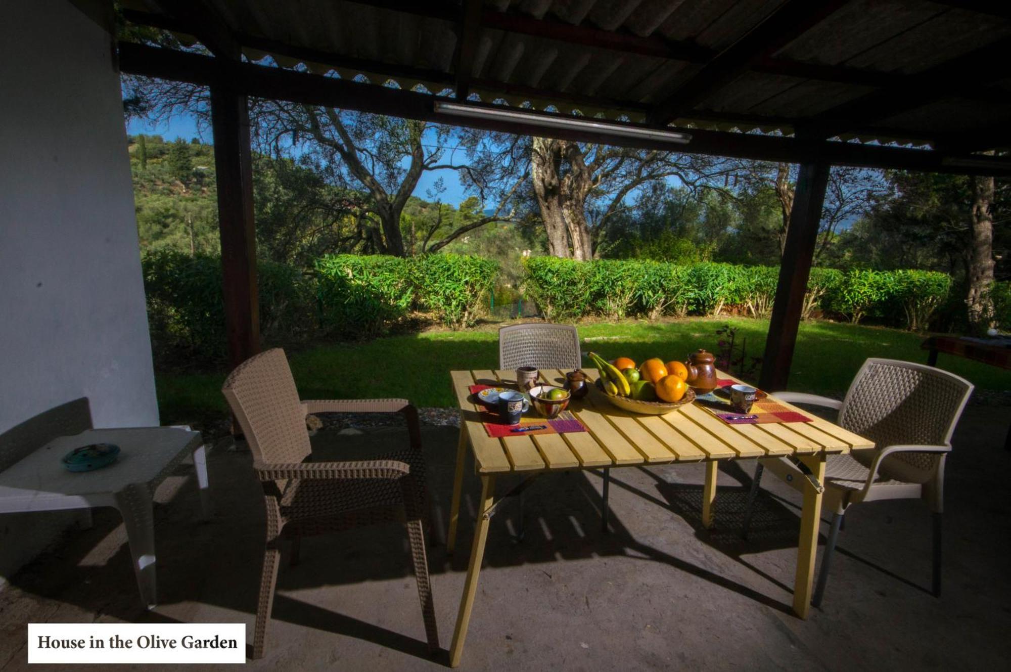 House In The Olive Garden Apartment Agios Ioannis  Bagian luar foto