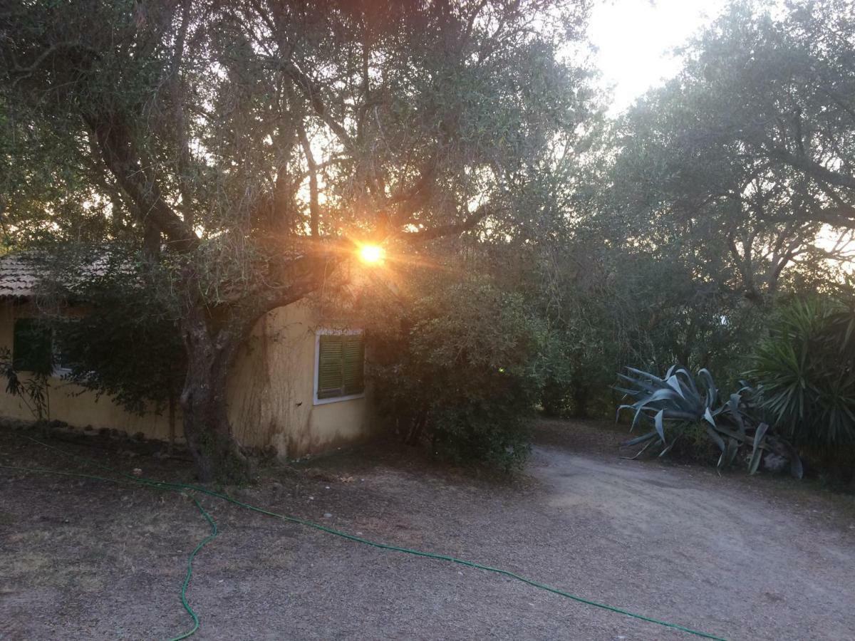 House In The Olive Garden Apartment Agios Ioannis  Bagian luar foto