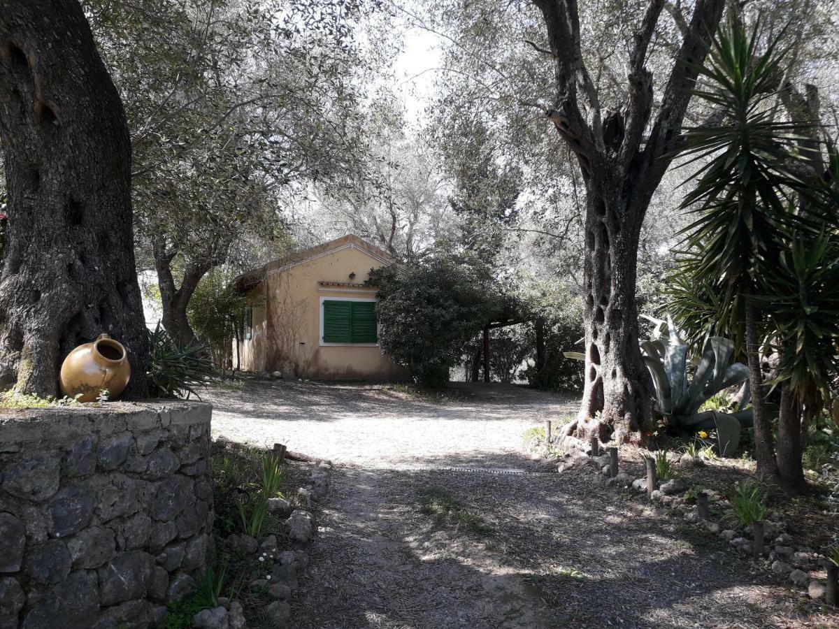 House In The Olive Garden Apartment Agios Ioannis  Bagian luar foto
