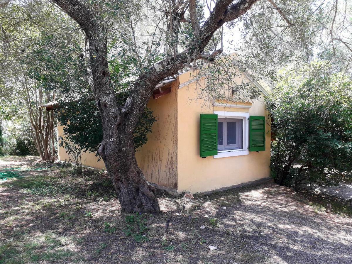 House In The Olive Garden Apartment Agios Ioannis  Bagian luar foto