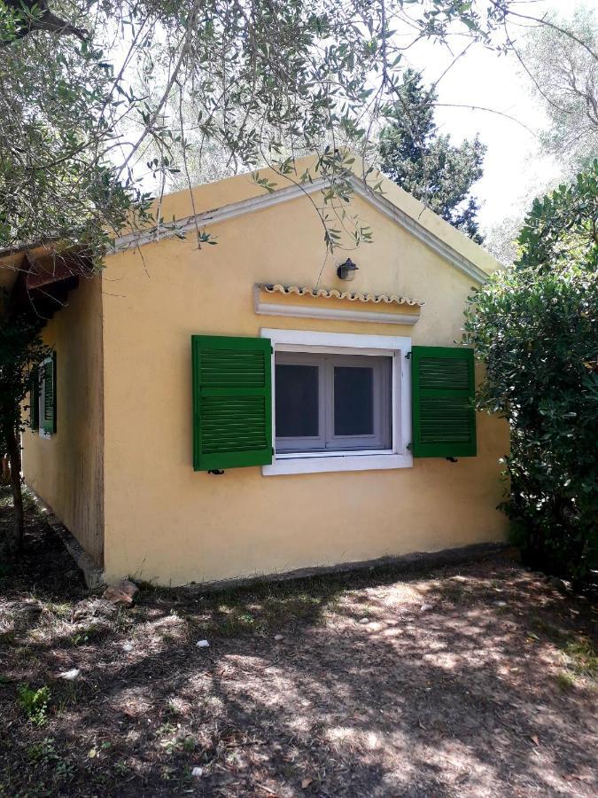 House In The Olive Garden Apartment Agios Ioannis  Bagian luar foto